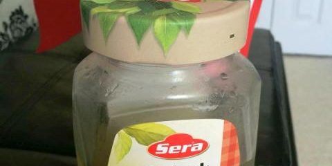 cubuk tursusu amerika da