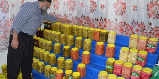 cubuk tursulari yok satti