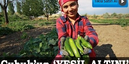 yesil-altin-cubuk-tursusu