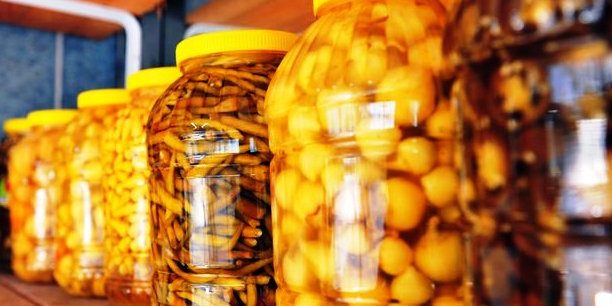 Tursunun Genel ozellikleri