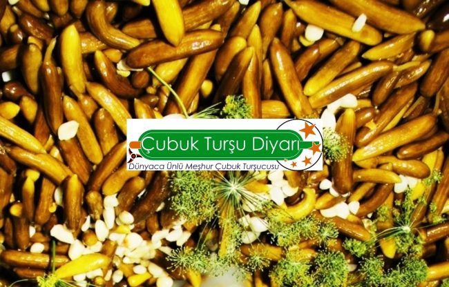 Hasat ile birlikte yeni sezon taze urunler hazir